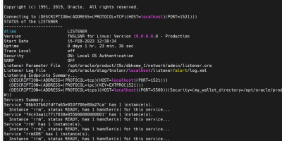 Centos7无网环境安装oracle19C(附依赖安装包)亲测有效 Centos7无网环境安装oracle19C(附依赖安装包)亲测有效