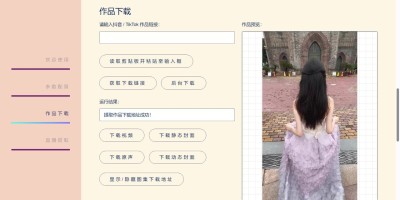 TikTok/抖音下载工具TikTokDownloader TikTok/抖音下载工具TikTokDownloader