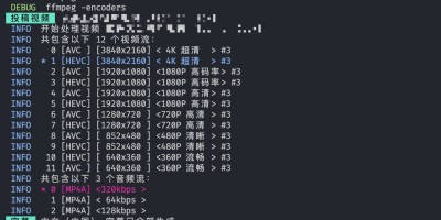 B站视频下载工具 B站视频下载工具