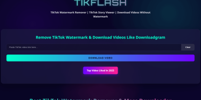 Tiktok视频下载工具 Tiktok视频下载工具
