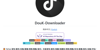 TikTokDownloader:适合新手的抖音 / TikTok 无水印下载实用工具 TikTokDownloader:适合新手的抖音 / TikTok 无水印下载实用工具