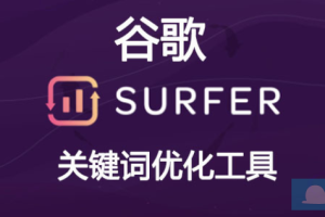 免费谷歌关键词优化工具Keyword Surfer