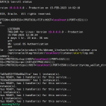 Centos7无网环境安装oracle19C(附依赖安装包)亲测有效