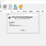 IDM绿色精简版下载【实用工具】