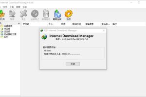 IDM绿色精简版下载【实用工具】