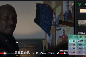 视频解析油猴脚本安乐视【油猴】