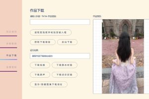 TikTok/抖音下载工具TikTokDownloader