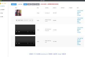 资源下载器-res-downloader