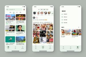 B站第三方客户端-PiliPala