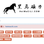 在线磁力工具黑马磁力