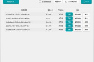 微信视频号下载工具