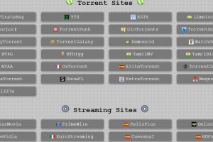 磁力网站导航网站Unblockit