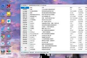 Win11PE 工具箱