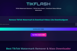 Tiktok视频下载工具